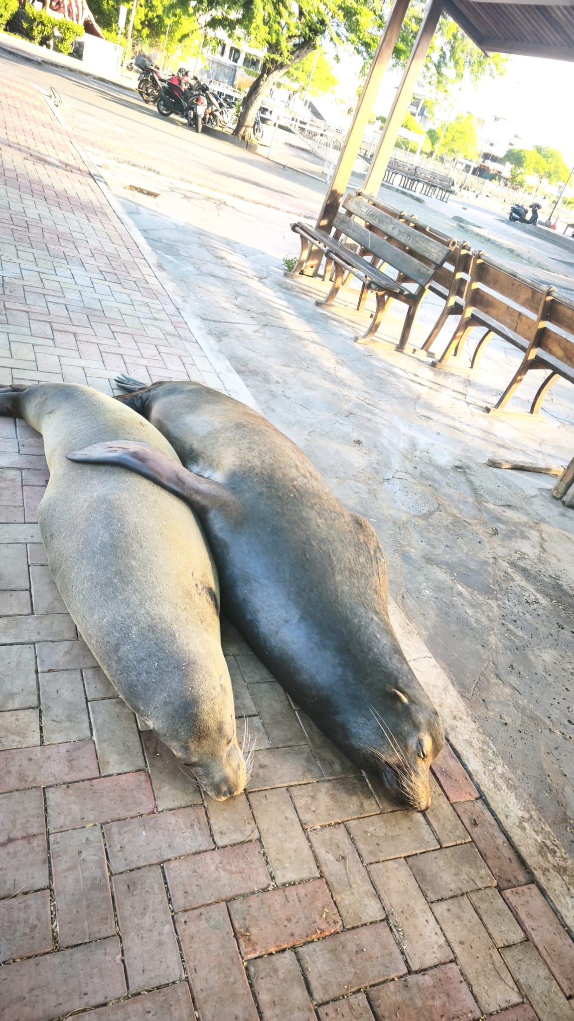 Viaggio Ecuador e Galapagos